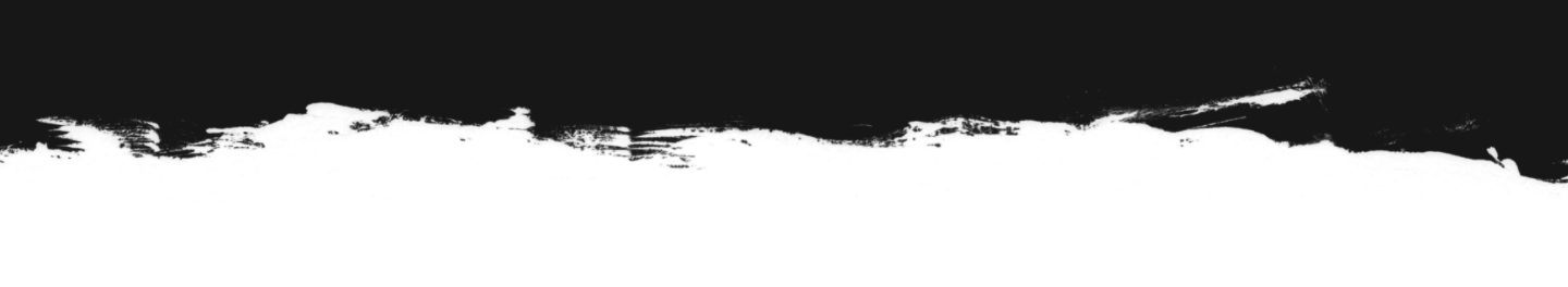 texture forêt